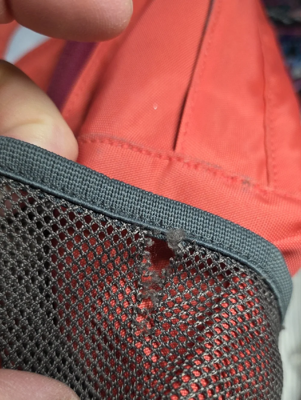 Patagonia Poco 12L Backpack